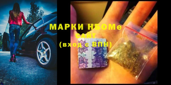apvp Алзамай