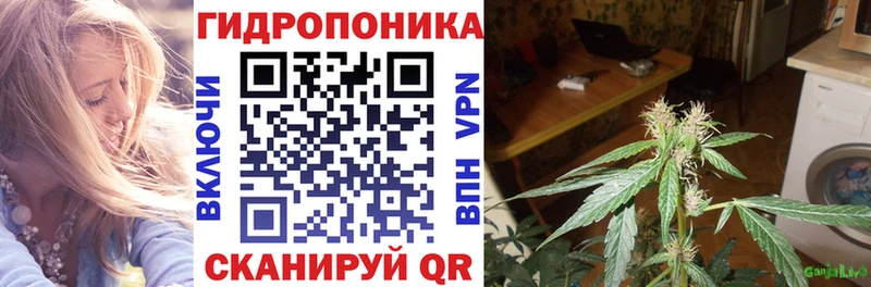 Канабис гибрид Кремёнки